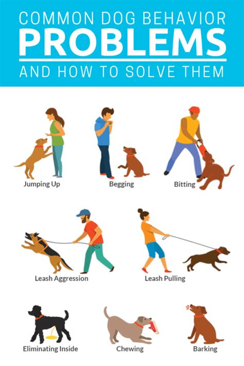 Dog Training Tips For Bad Behavior Reader