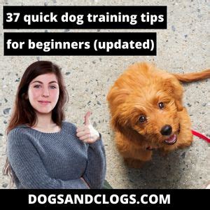 Dog Training Tips For Beginners PDF