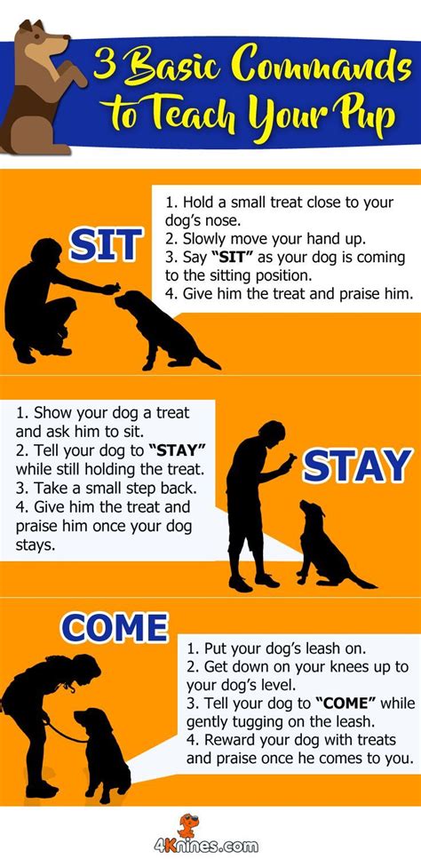 Dog Training Tips For Dogs PDF