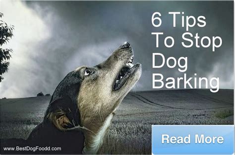 Dog Training Tips To Stop Barking PDF