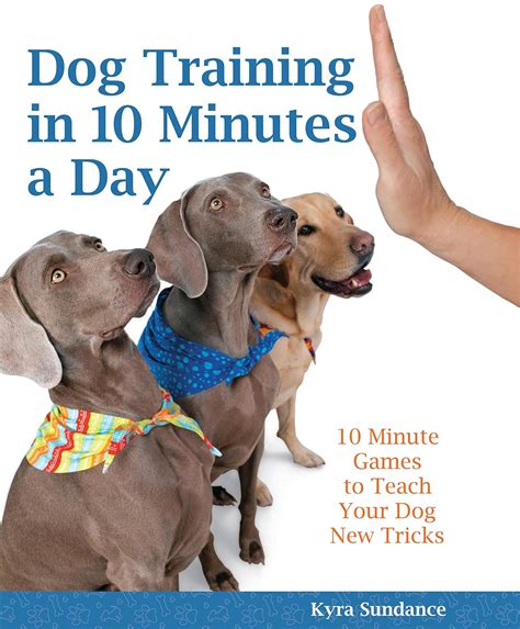 Dog Training in 10 Minutes a Day 10-Minute Games to Teach Your Dog New Tricks Reader