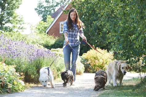 Dog Walkers: An Unstoppable Force in the Pet Care Industry