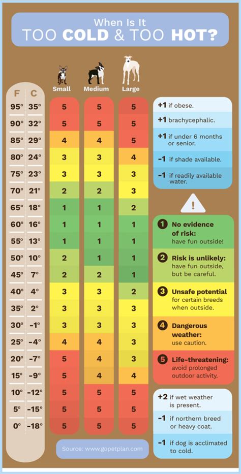 Dog Walking Temp Chart