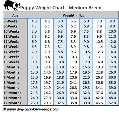 Dog Weight Chart