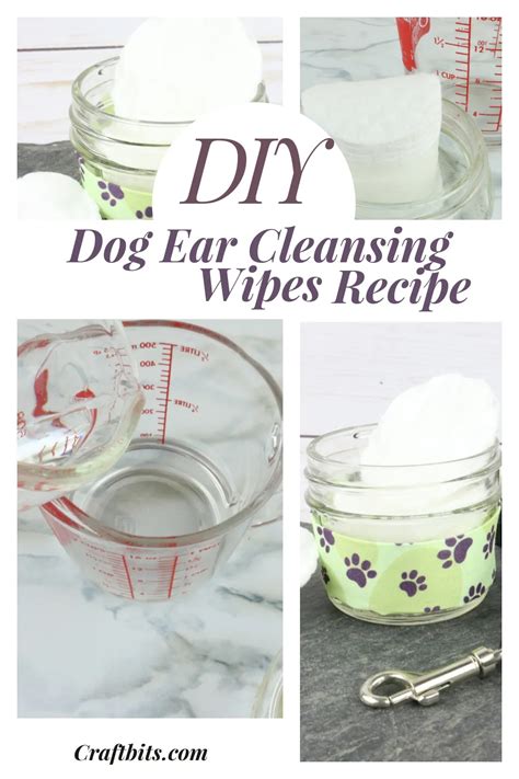 Dog Wipes Fun Recipes: Ultimate DIY Delight for 2025