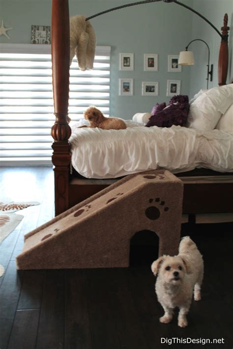 Dog bed and interior design