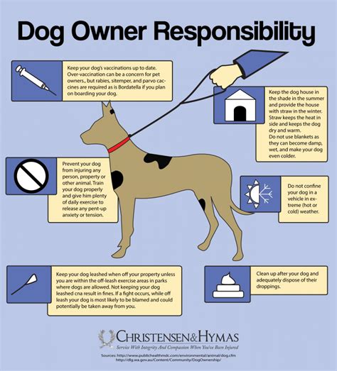 Dog owner responsibilities