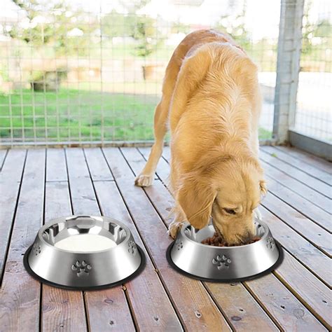 Dog plates