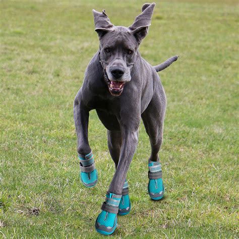 Dog shoes and boots