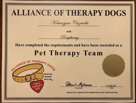 Dog therapy training and certification