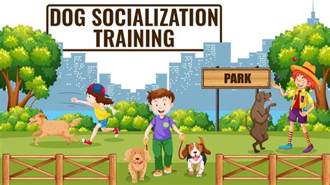 Dog training and socialization research