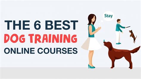 Dog training online courses and tutorials