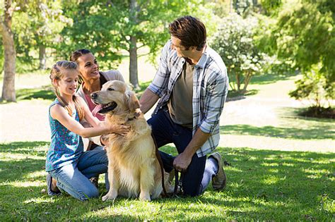 Dog walking and bonding