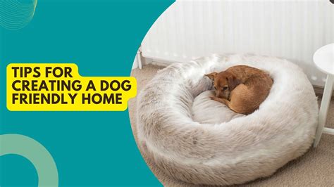 Dog-Friendly Home Decor: Enhance Your Home for Your Furry Companion