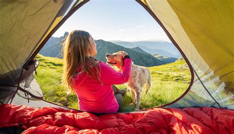 Dog-Friendly Outdoor Activities: 2023 VS 2025