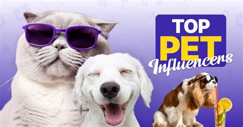 Dog-Friendly Social Media VS Influencers in 2025: Paw-fect Partners