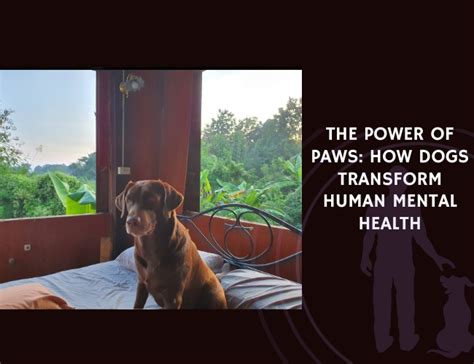 Dog-friendly Mental Health: Unlocking the Power of Paws by 2025