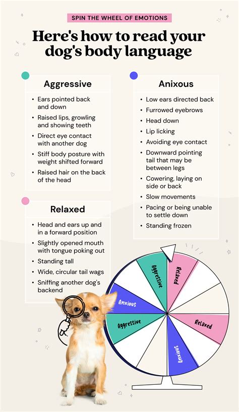 DogGPT: The Ultimate Guide to Canine Language and Communication