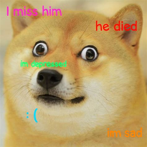 Doge With Text: