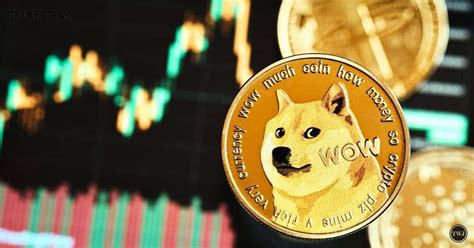 Doge to PKR: A Comprehensive Guide to Converting Your Crypto