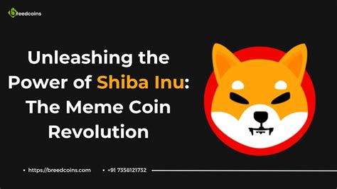 DogeBoost: Unleashing the Power of Meme Coins