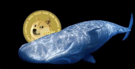 Dogecoin Whale Activity: A Deeper Dive into the Crypto Market's Giant Movers