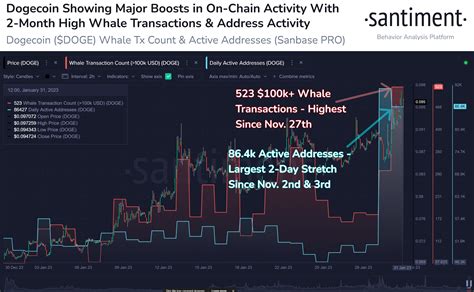 Dogecoin Whale Activity: Tracking Large Transactions