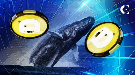 Dogecoin Whale Activity | Large Transactions Surge