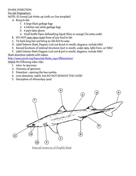 Dogfish Shark Dissection Answer Key Epub