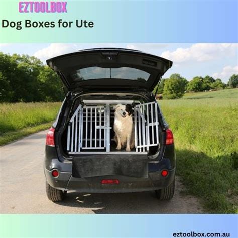 Doggie Cages: Essential Guide for a Safe and Comfortable Canine Companion