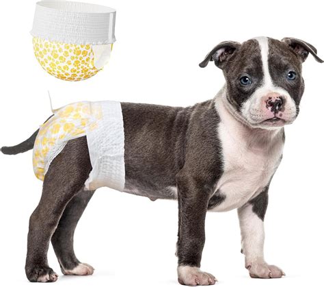 Doggie Diapers Near Me: The Ultimate Guide to Finding the Perfect Fit