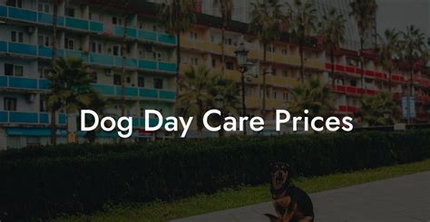 Doggy Day Care Prices: All You Need to Know