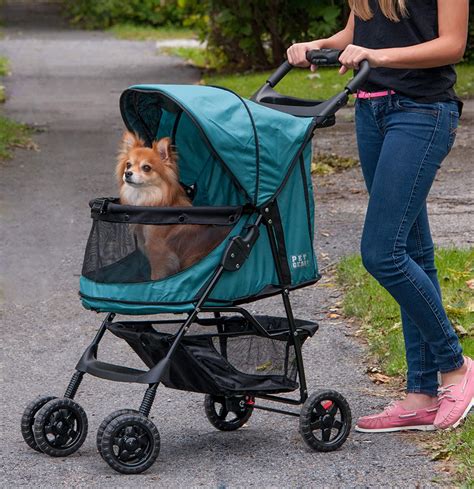 Doggy Prams: Exploring the Marvels of Canine Convenience