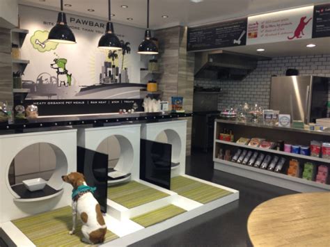 Doggy Spas Near Me: 5 Pawsitively Luxurious Locations