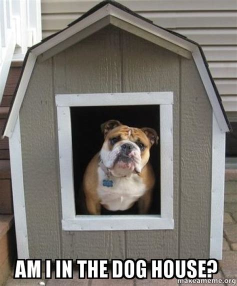 Doghouse Meme: A Viral Sensation