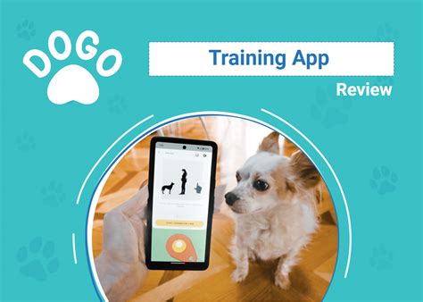 Dogo App vs. Fetch! 2025: Battle of the Pet Care Giants