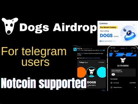 Dogs Airdrop Telegram: Unleashing Crypto Enthusiasts