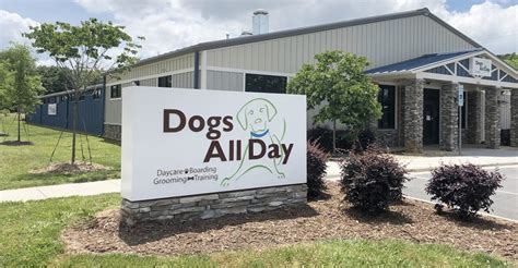 Dogs All Day Charlotte NC: 10,000+ Reasons to Visit