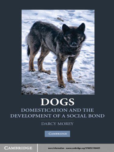 Dogs Domestication and the Development of a Social Bond Doc