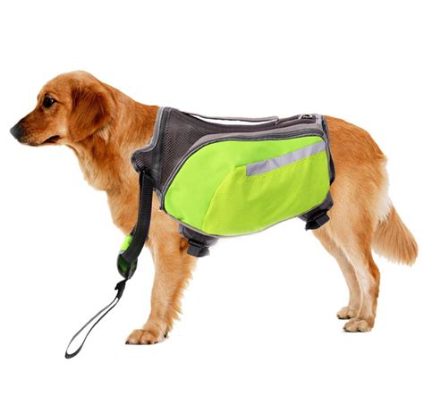 Dogs and Backpacks: A How-to Guide for Adventurous Canines and Their Owners