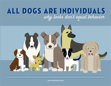 Dogs are individuals.