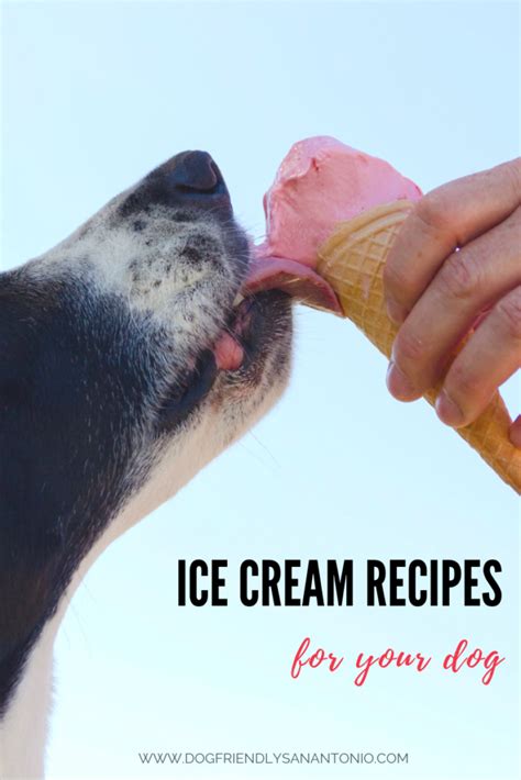 Dogsters' Delight: 21+ Refreshing Dog Ice Cream Recipes and 10 Vital Tips for Summer