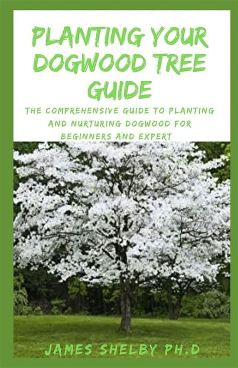 Dogwood Fertilizer: The Comprehensive Guide to Keeping Your Trees Thriving