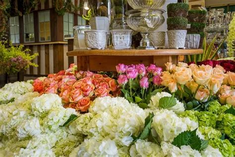 Dollyfield: A Comprehensive Guide to the Ultimate Floristry Destination