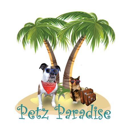 Dolphin Coast Petz: Where Your Furry Friends Thrive