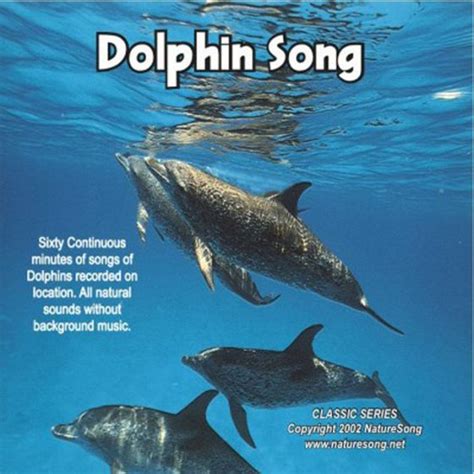 Dolphin Song Epub