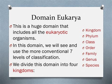 Domain Eukarya Biology Lab Answers PDF