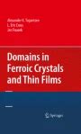 Domains in Ferroic Crystals and Thin Films 1st Edition Reader