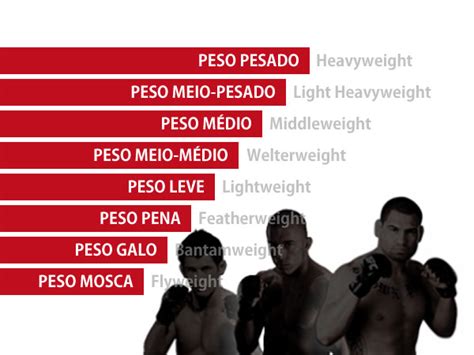 Dominando as Divisões: Guia Completo dos Pesos do UFC