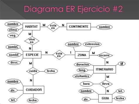 Domine Su Negocio en Español: ¡La Guía Definitiva para Diagramas ER en Español!